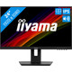 iiyama ProLite XUB2463HSU-B1