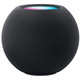 Apple HomePod mini Zwart