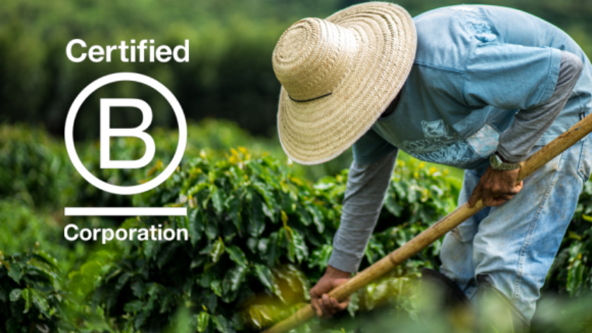 B Corp