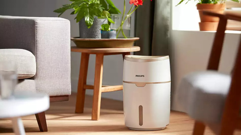 Humidifier living room