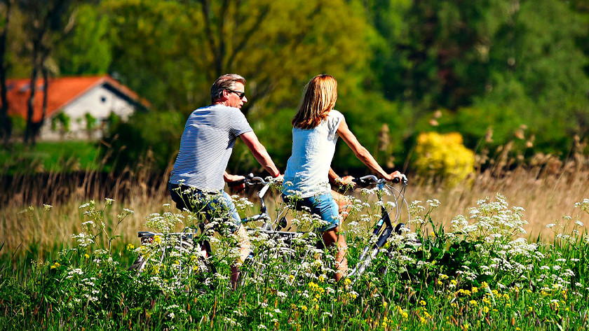 Fietsers in natuur