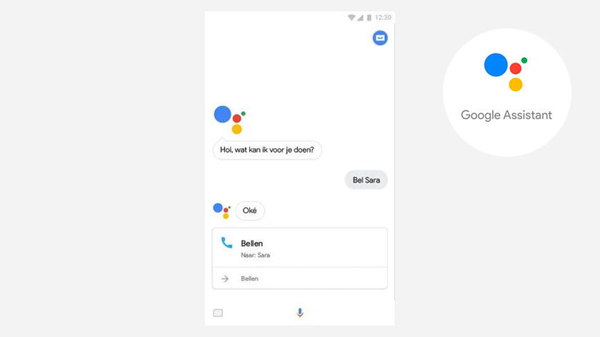 Google assistant device