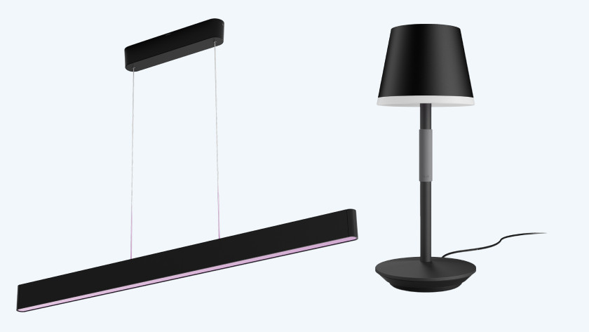 2 lampes avec luminaire