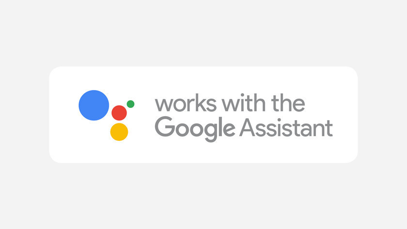 Assistant Google