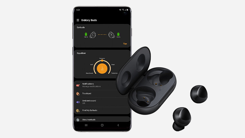 Smartwatches and earbuds