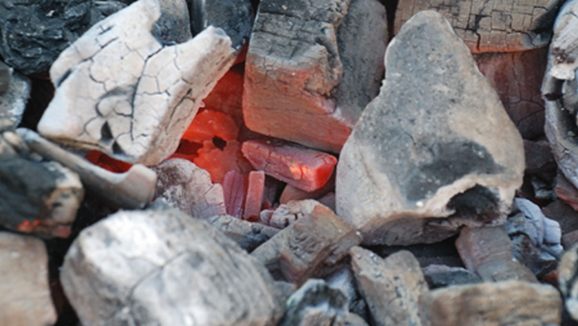 Charbon ou briquettes : que faut-il utiliser ? - Coolblue - tout