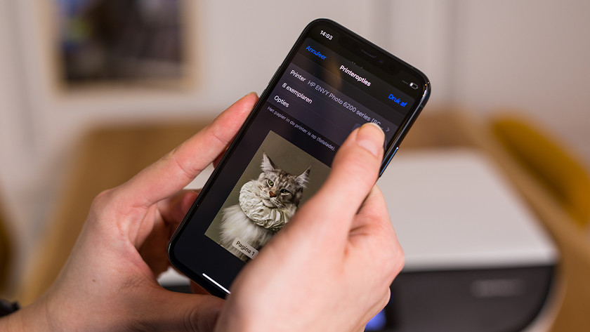 Indicate how many prints of your cat photo you want and tap 'Print'