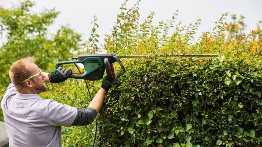 Hedge trimmers with a long blade