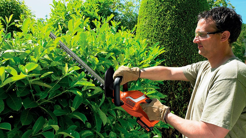 Cordless hedge trimmer