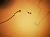 Apple Earpods 3.5mm Jack (Image 2 of 8)