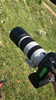 Canon EF 100-400mm f/4.5-5.6L IS II USM (Image 1 of 3)