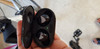 Samsung Galaxy Buds+ Black (Image 7 of 34)