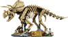 LEGO Jurassic World Dinosaurusfossielen: Triceratops 77985