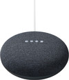 Google Nest Mini Gray