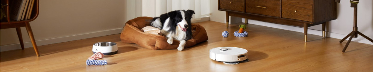 Comment choisir un aspirateur-robot adapté aux poils d'animaux ?