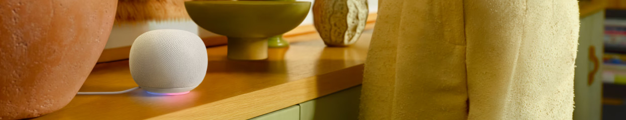 Alles over de Google Home Speaker