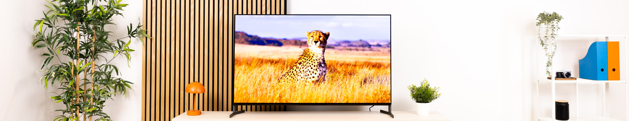Expert review of the Sony Bravia 8 II