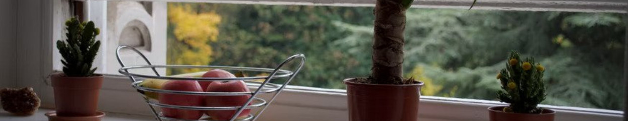 What's a carbon monoxide detector?