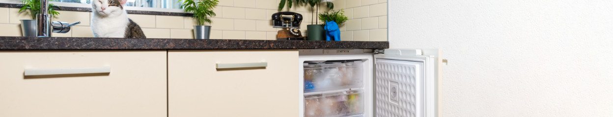 Which freezer model suits you?