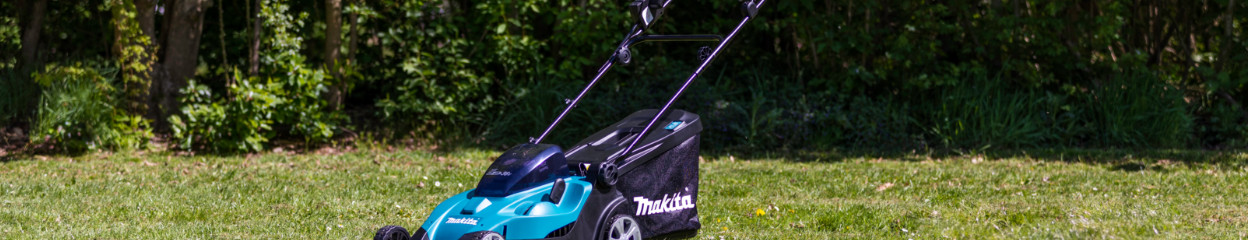 Advice on grass maintenance