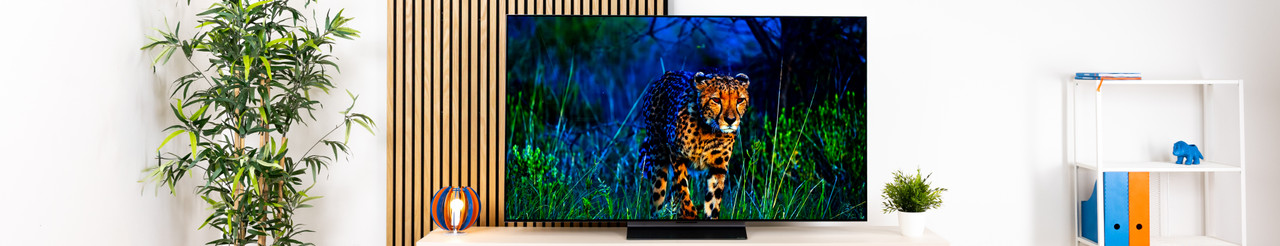 Specialisten review van de LG OLED EVO C5