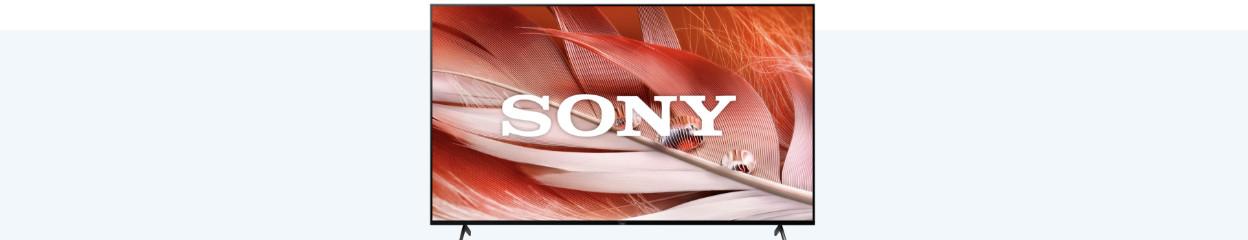 How do you reset your Sony television?