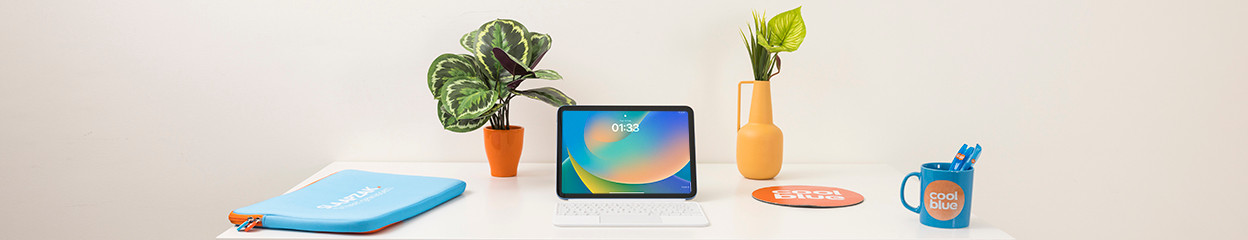 Which iPad do you have?