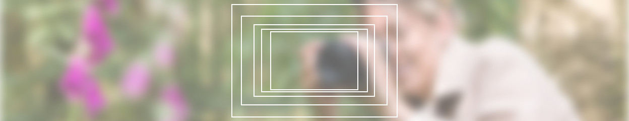 Quelle est la différence entre les capteurs d'images ?