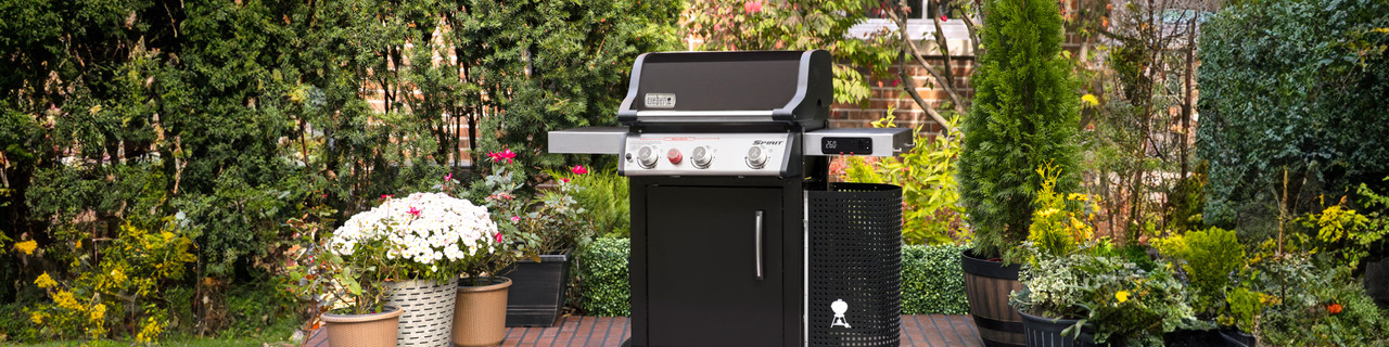 Weber Spirit