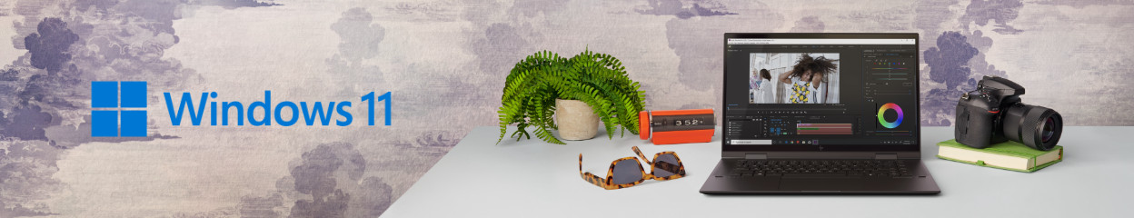 What are the best HP ENVY products for creators?