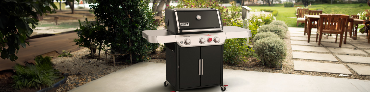 Weber genesis