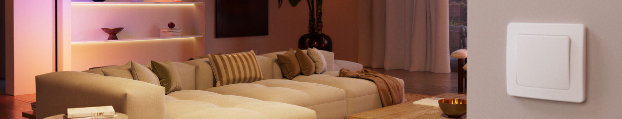Wat is de Philips Hue bedrade wandschakelaar?