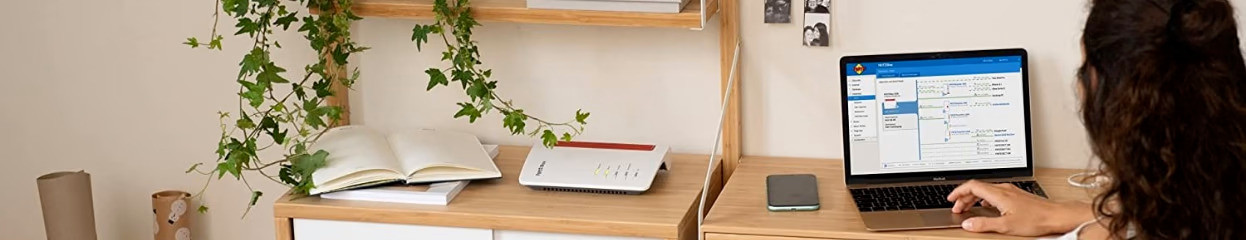 Quelles sont les propriétés économiques de FRITZ!DECT ?