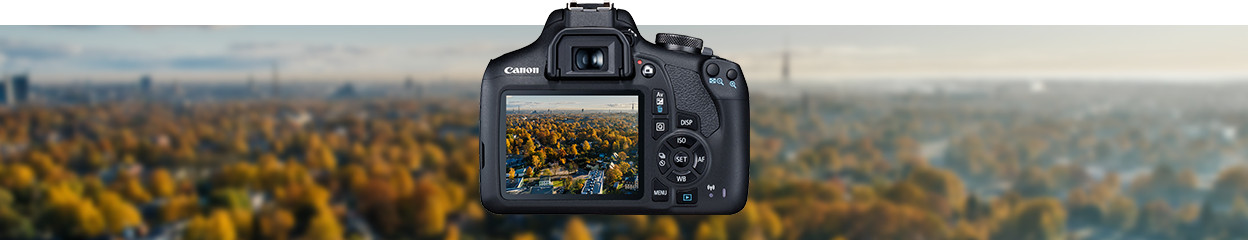 Qu'est-ce qu'un appareil photo reflex et quand faut-il l'utiliser ? 