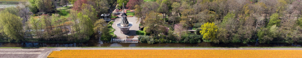 Tips voor de mooiste beelden met je drone