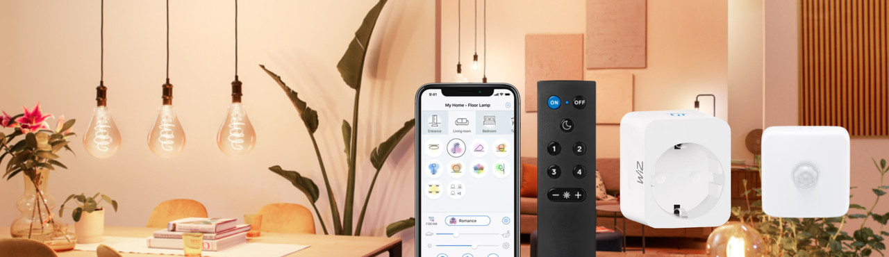 De quels accessoires avez-vous besoin pour vos ampoules connectées WiZ ?