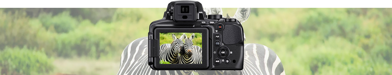 Welk type lens gebruik ik voor natuur- en dierenfotografie?