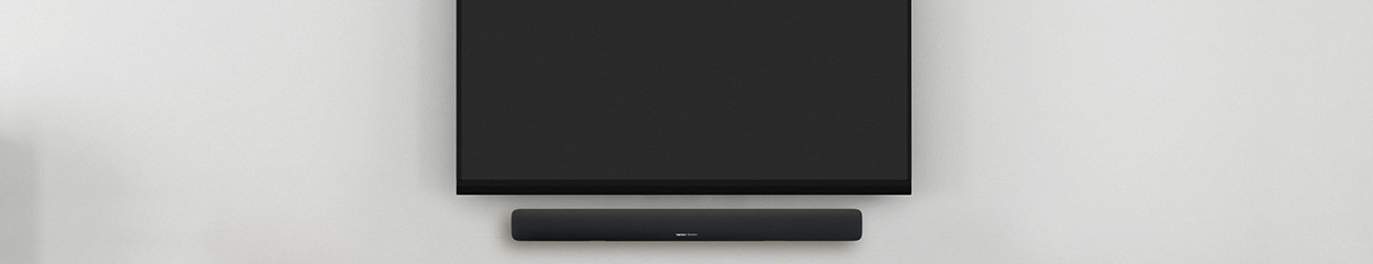 Which Harman Kardon devices can you connect to your TV?