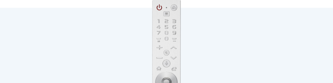 How does the LG Premium Magic Remote work?