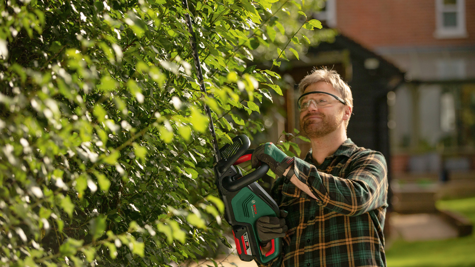Onze keuze voor het snoeien van grote heggen