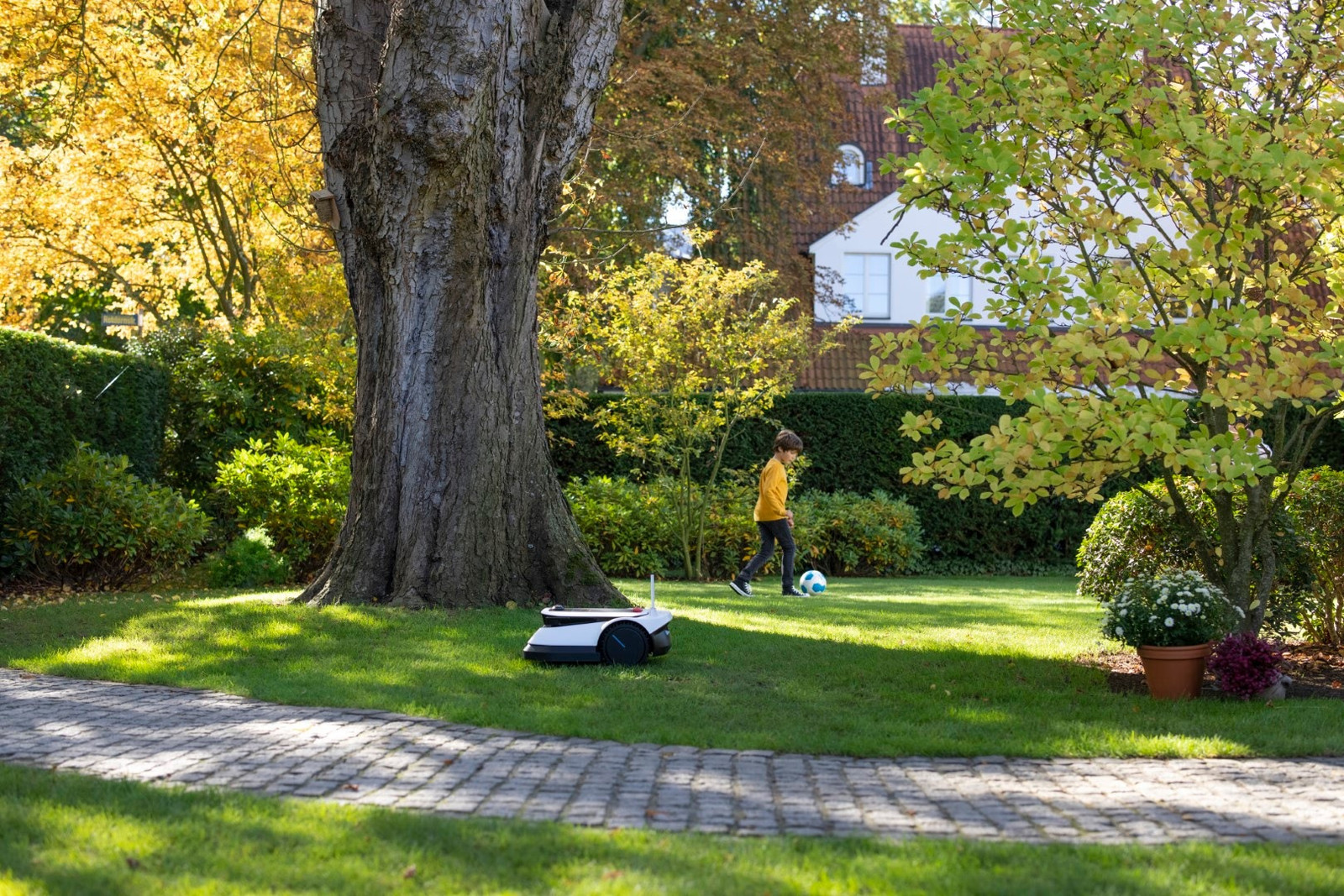 Robot-tondeuse de la saison