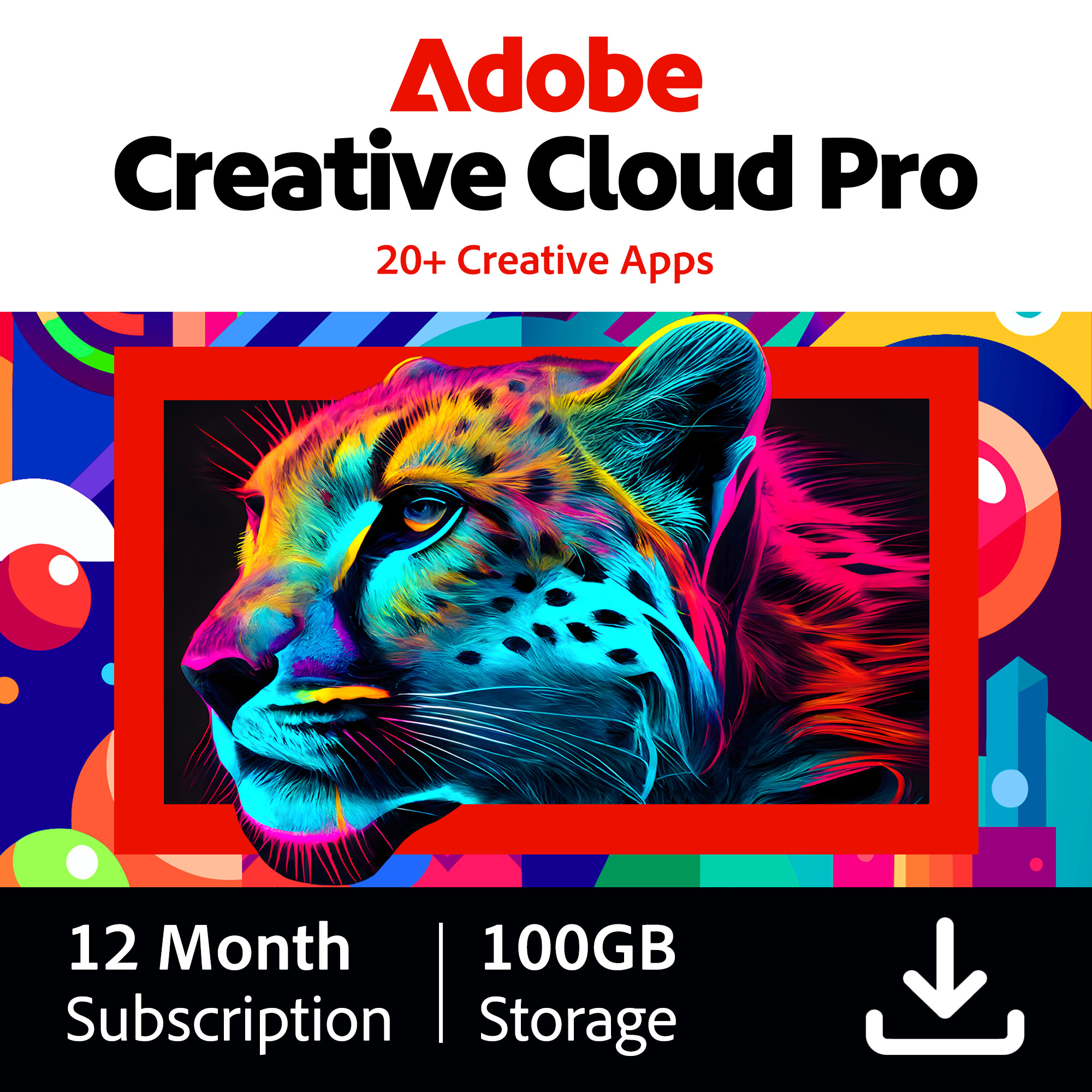 Adobe Creative Cloud Pro 1 Jaar + 100GB Cloudopslag