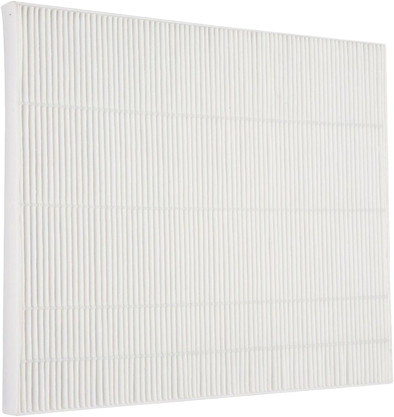 Winix Filter AW600 is nooit meer leverbaar