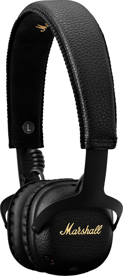 Marshall Mid A.N.C. is no longer available