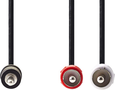 Nedis 3,5 mm naar RCA Kabel 2 Meter Zwart is nooit meer leverbaar