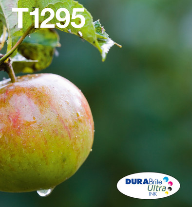 Le produit Epson T129 Cartouches Pack Combiné ne sera plus jamais disponible