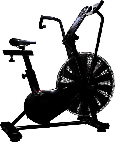 Schwinn Airdyne AD8 is no longer available