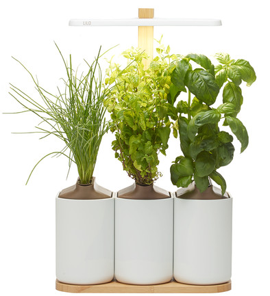 Le produit Prêt à Pousser Indoor Garden Lilo Connect ne sera plus jamais disponible