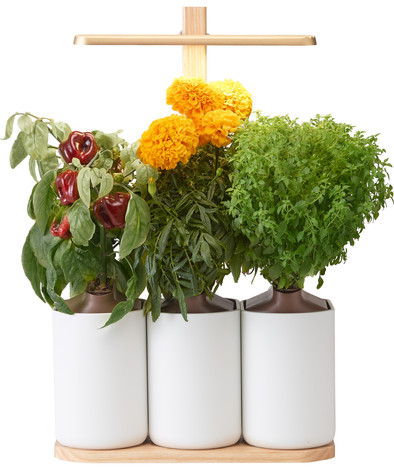 Le produit Pret a Pousser Potager d'Intérieur Lilo Edition ne sera plus jamais disponible