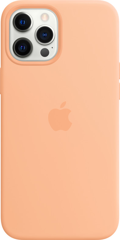 Le produit Apple iPhone 12 Pro Max Silicone Back Cover avec MagSafe Melon ne sera plus jamais disponible